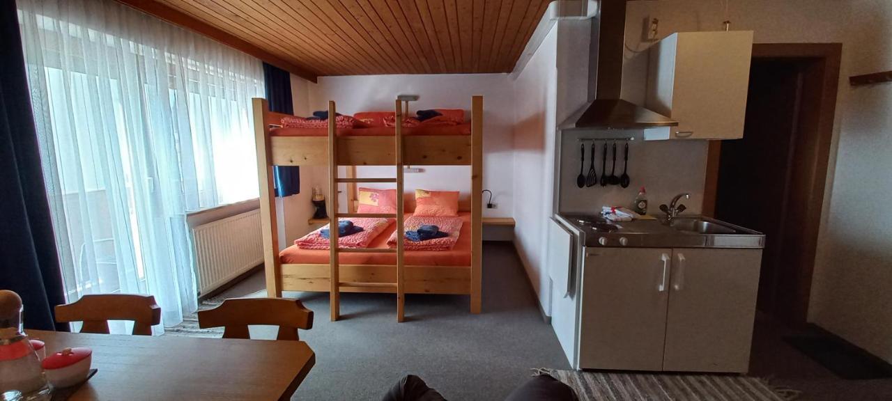 Studio Hochzillertal Mit Sauna & E-Ladestation Apartment Ried im Zillertal Bagian luar foto